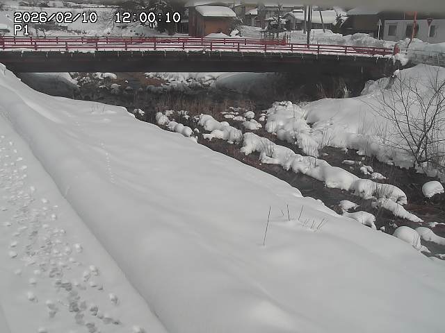 細見川１2026/02/11 3:30:00