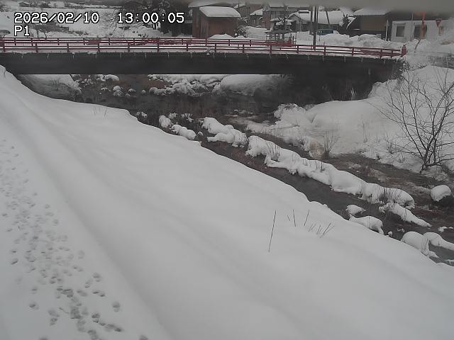 細見川１2026/02/11 3:30:00