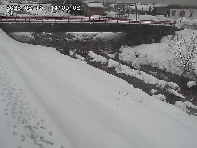 細見川１2026/02/11 3:30:00