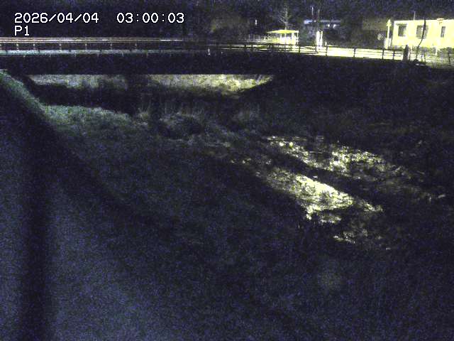 細見川１2026/04/05 3:30:00