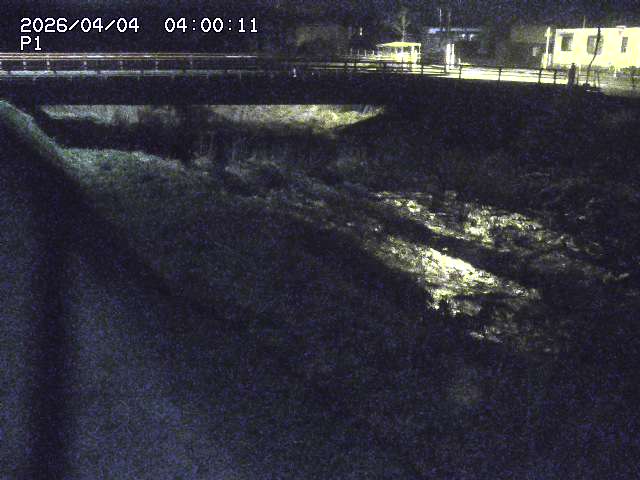 細見川１2026/04/05 3:30:00