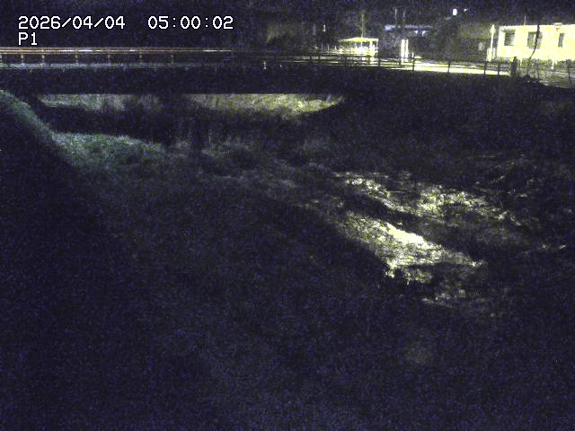 細見川１2026/04/05 3:30:00