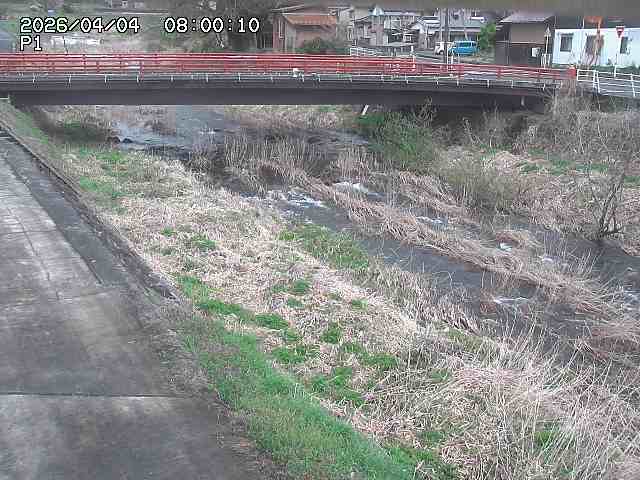 細見川１2026/04/05 3:30:00