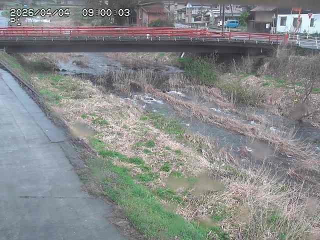 細見川１2026/04/05 3:30:00