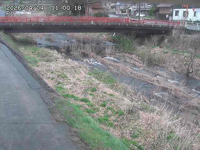 細見川１2026/04/05 3:30:00