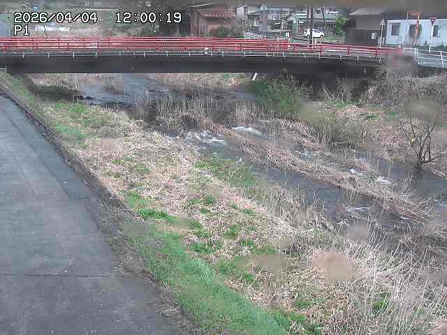 細見川１2026/04/05 3:30:00