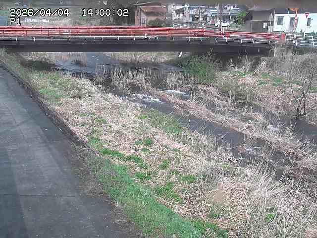 細見川１2026/04/05 3:30:00