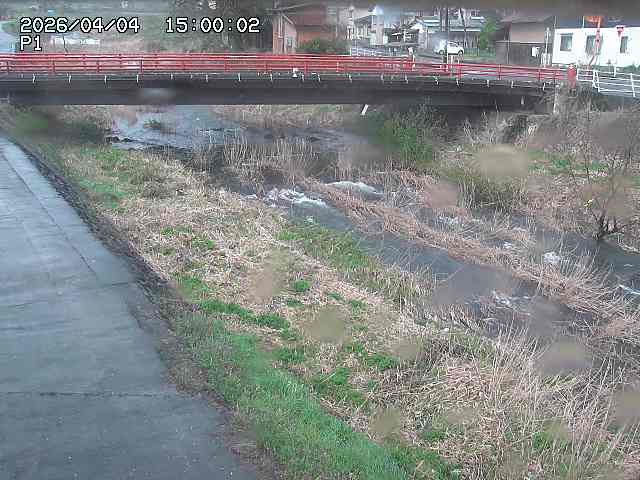 細見川１2026/04/05 3:30:00