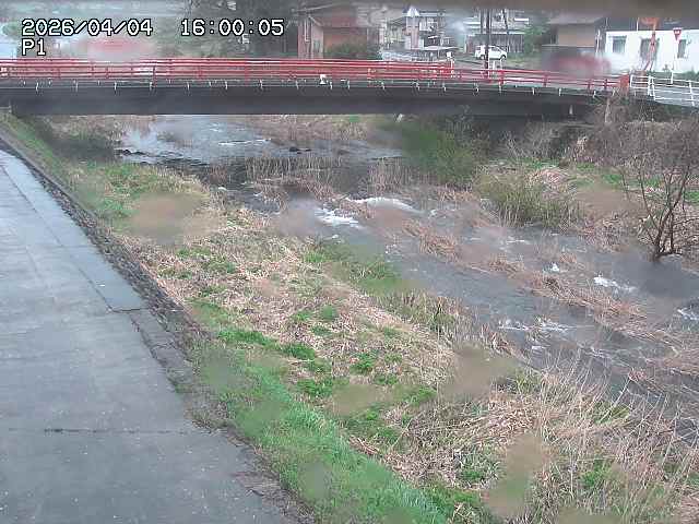 細見川１2026/04/05 3:30:00