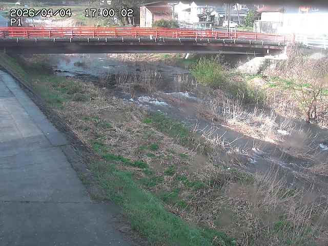 細見川１2026/04/05 3:30:00