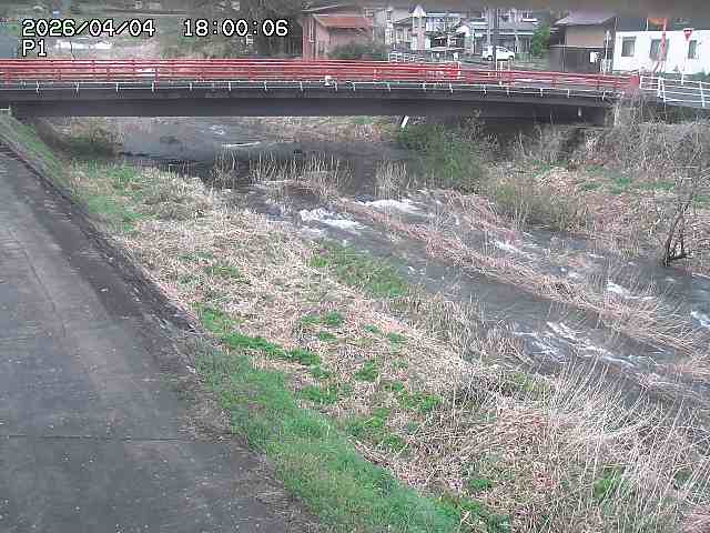 細見川１2026/04/05 3:30:00