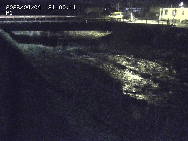 細見川１2026/04/05 3:30:00