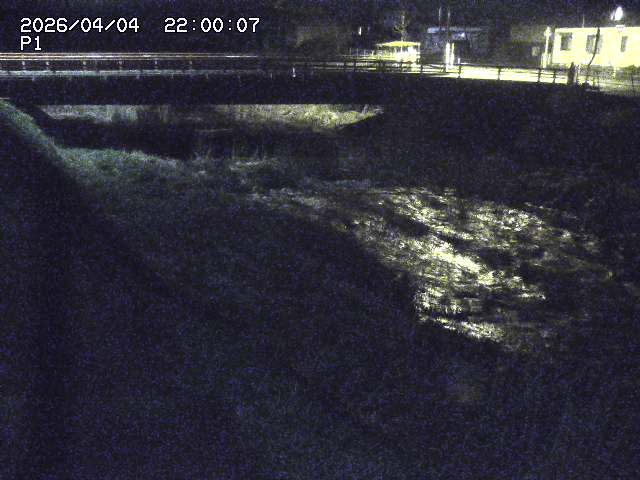 細見川１2026/04/05 3:30:00