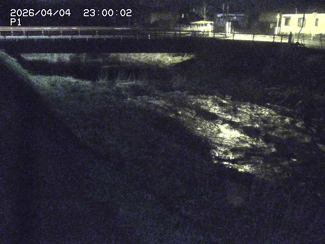 細見川１2026/04/05 3:30:00