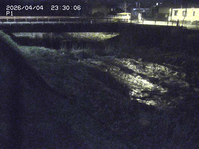 細見川１2026/04/05 3:30:00