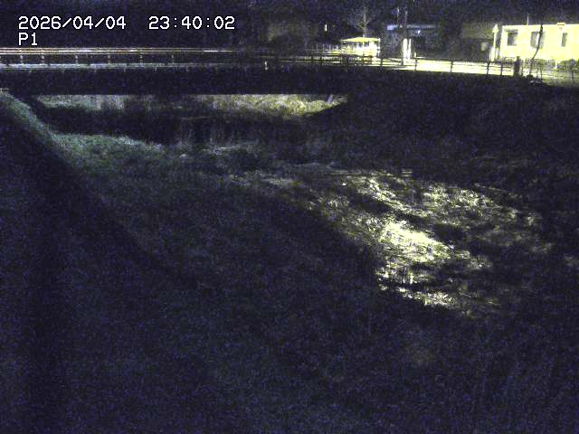 細見川１2026/04/05 3:30:00