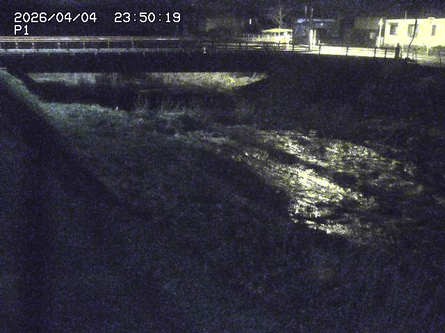 細見川１2026/04/05 3:30:00