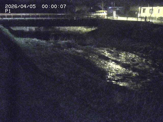 細見川１2026/04/05 3:30:00