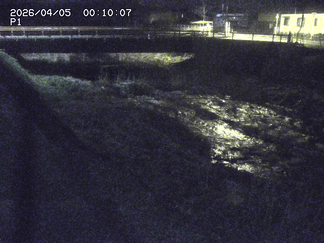 細見川１2026/04/05 3:30:00