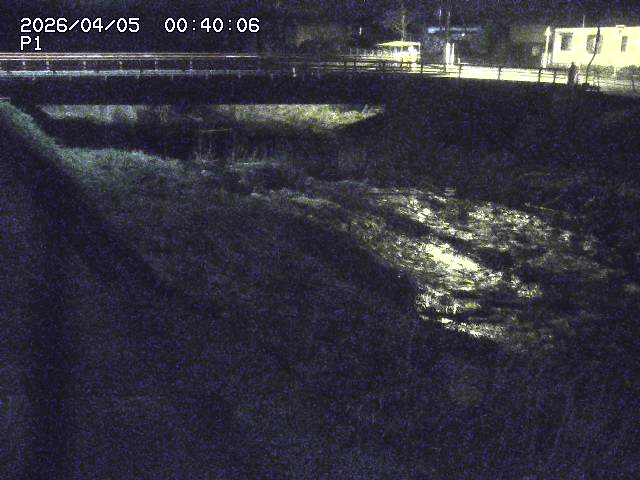 細見川１2026/04/05 3:30:00