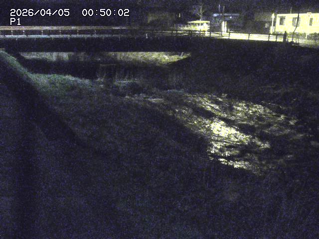 細見川１2026/04/05 3:30:00