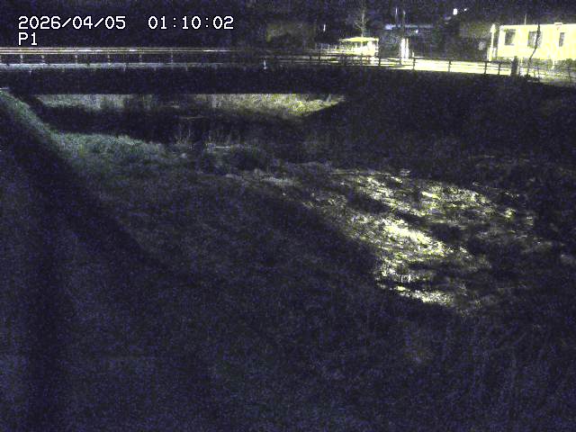 細見川１2026/04/05 3:30:00