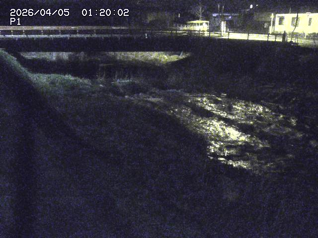 細見川１2026/04/05 3:30:00