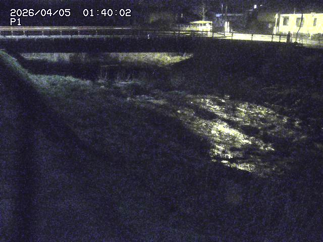 細見川１2026/04/05 3:30:00