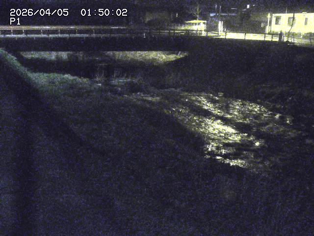 細見川１2026/04/05 3:30:00