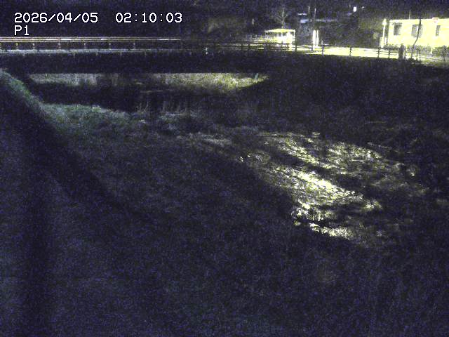 細見川１2026/04/05 3:30:00