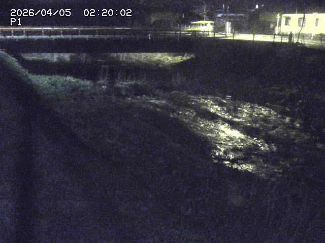 細見川１2026/04/05 3:30:00