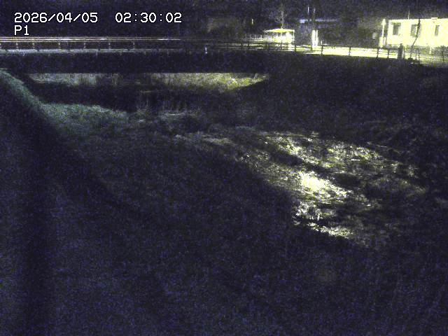 細見川１2026/04/05 3:30:00