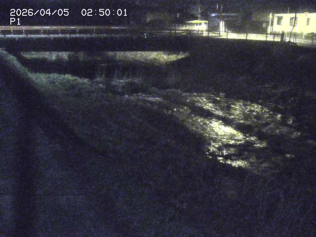 細見川１2026/04/05 3:30:00