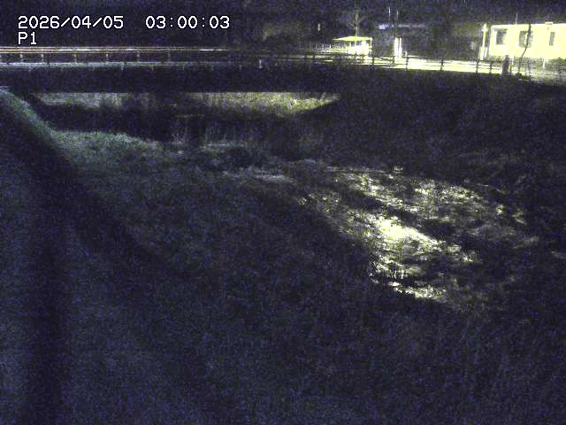 細見川１2026/04/05 3:30:00