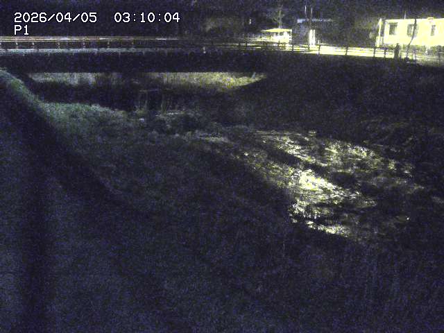 細見川１2026/04/05 3:30:00