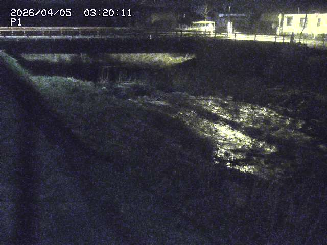 細見川１2026/04/05 3:30:00