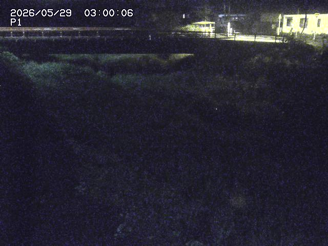 細見川１2026/05/30 3:30:00