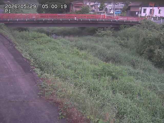 細見川１2026/05/30 3:30:00