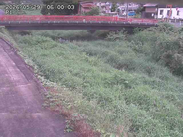 細見川１2026/05/30 3:30:00