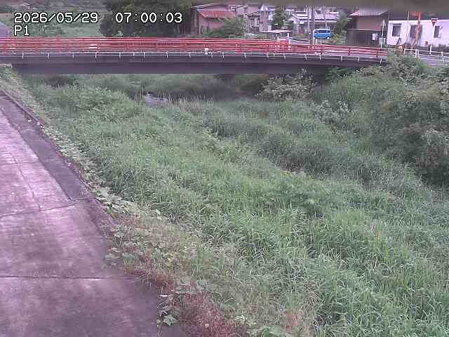 細見川１2026/05/30 3:30:00