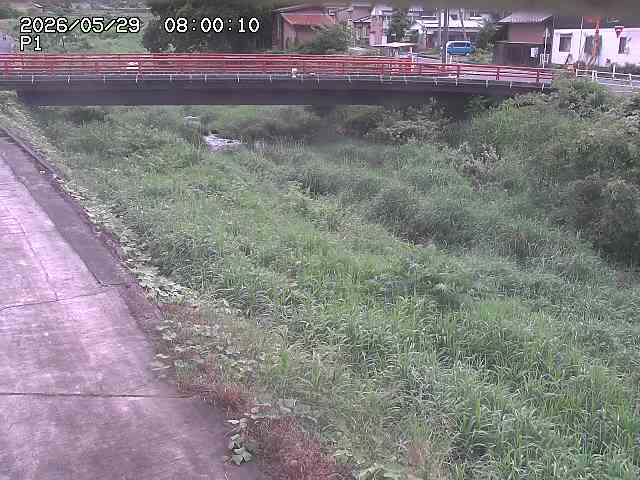 細見川１2026/05/30 3:30:00