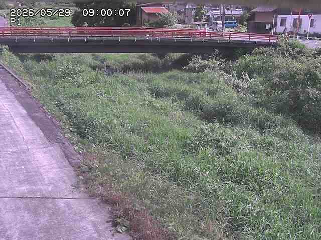 細見川１2026/05/30 3:30:00