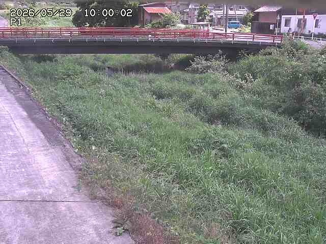 細見川１2026/05/30 3:30:00