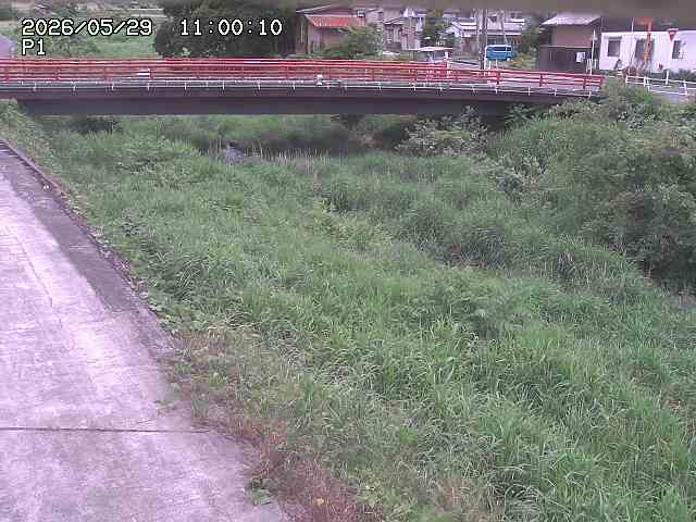 細見川１2026/05/30 3:30:00