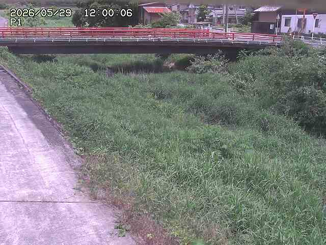 細見川１2026/05/30 3:30:00