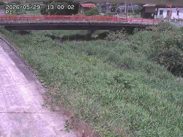 細見川１2026/05/30 3:30:00