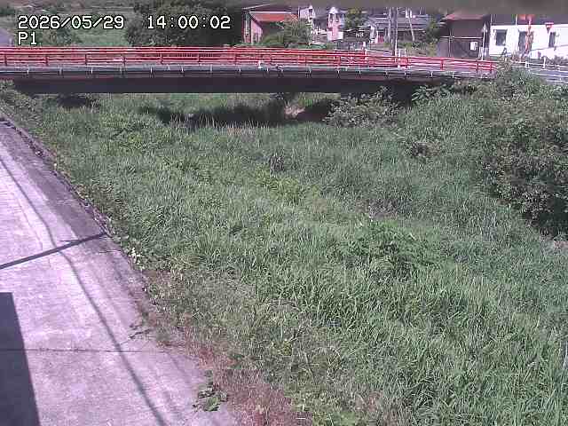 細見川１2026/05/30 3:30:00
