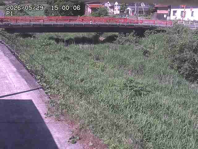 細見川１2026/05/30 3:30:00