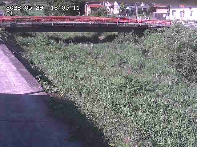 細見川１2026/05/30 3:30:00