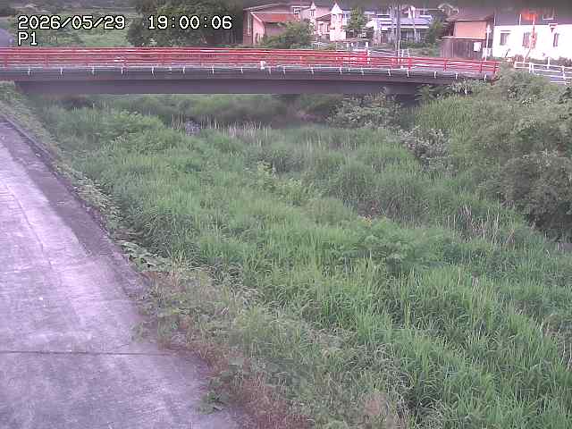 細見川１2026/05/30 3:30:00